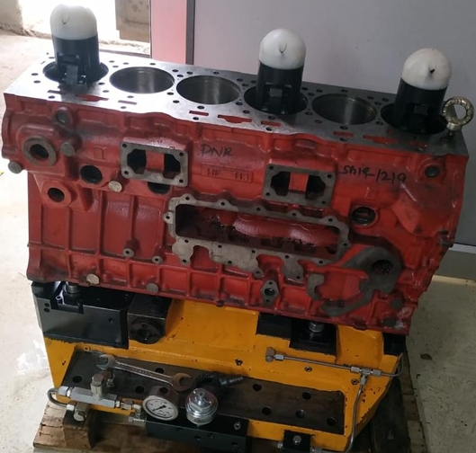 Genuine - Gallery (26)